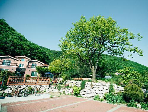 Utopia Pension Gyeongju Eksteriør billede